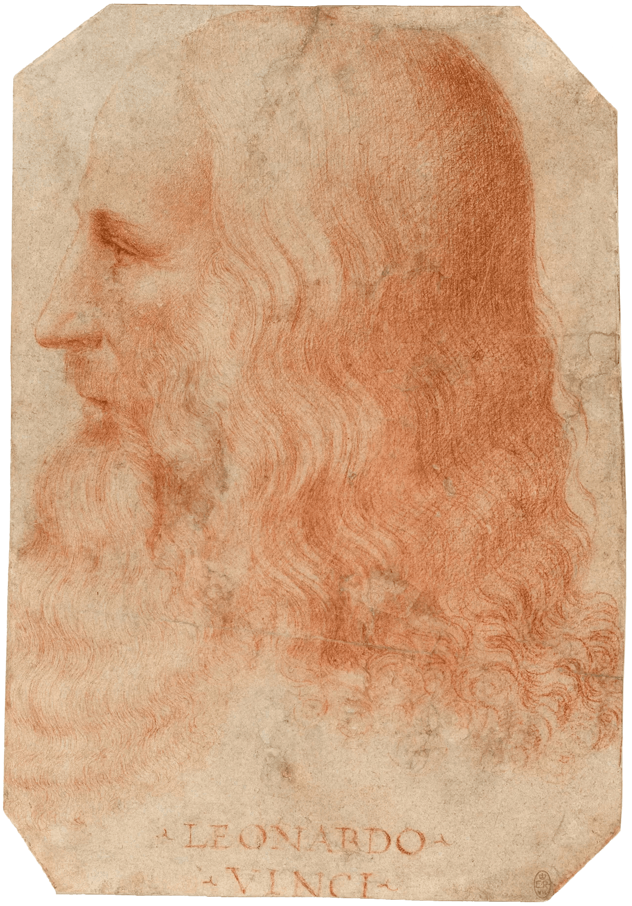 Portrait of Leonardo da Vinci