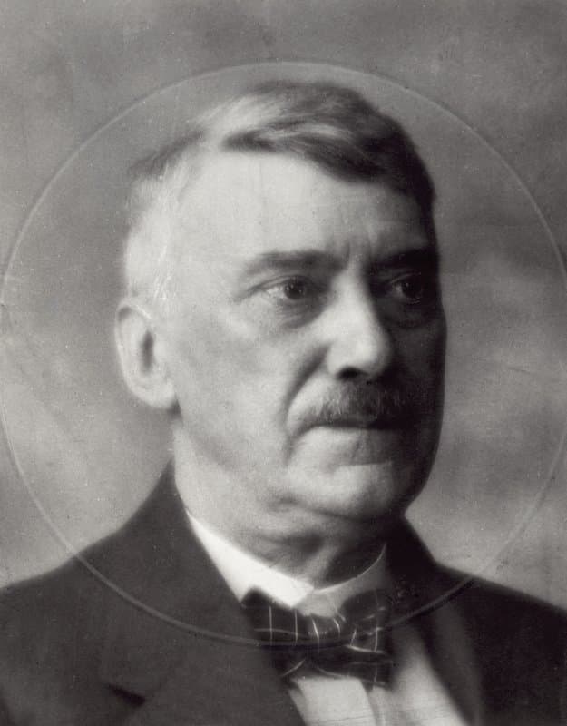 Portrait of Witsen, Willem Arnold