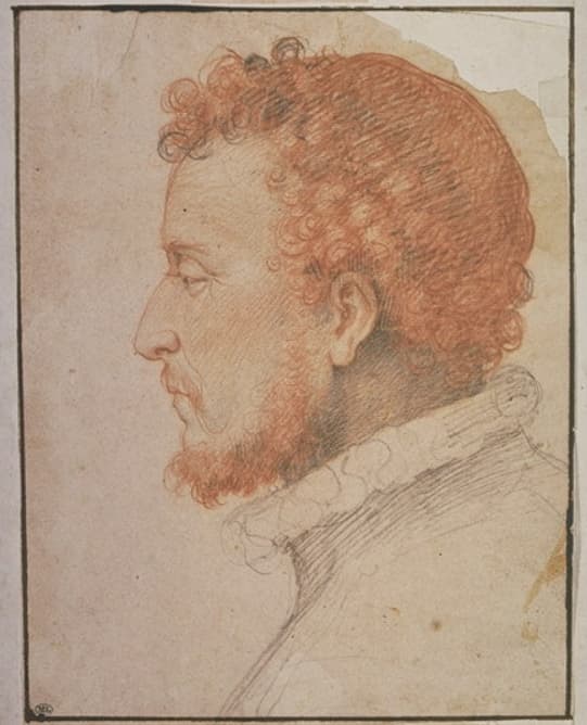 Portrait of Zuccaro, Taddeo