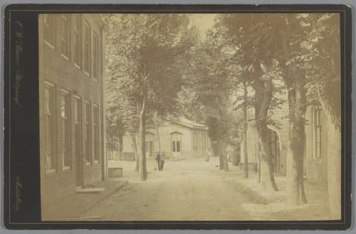 Gezicht op een straat in Domburg