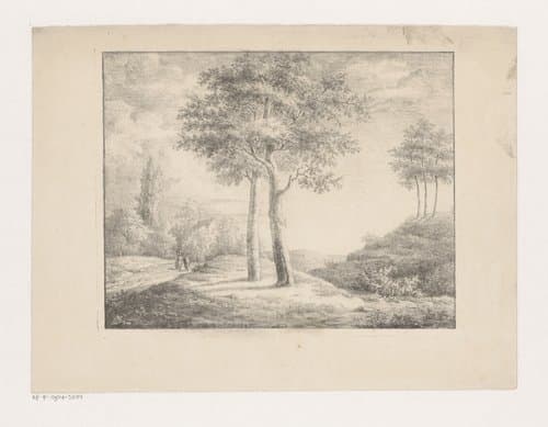 Portrait of Teyler van Hall, Jan Jacob