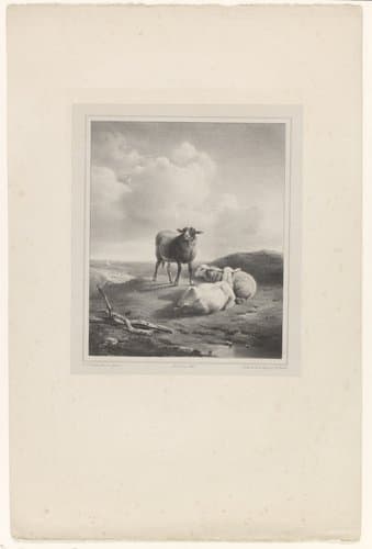 Zes landschappen met dieren door Théodore Fourmois naar schilderijen van Eugène Verboeckhoven