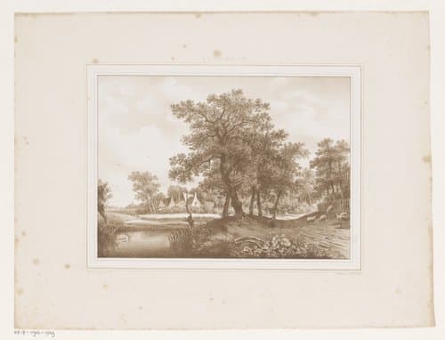 Gezicht op een landweg en een sloot