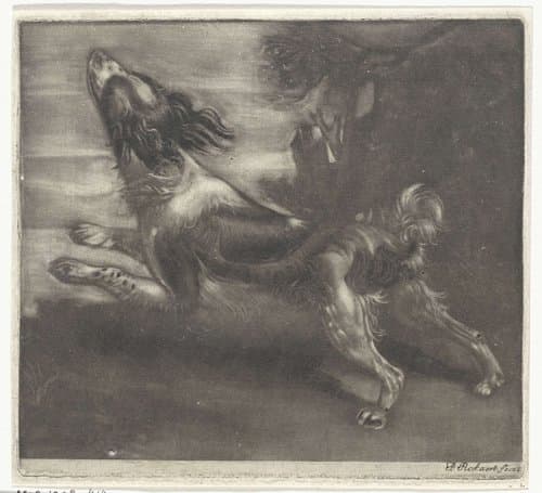 Portrait of Pickaert, Pieter