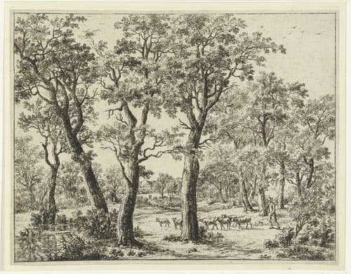 Landschap met bomen en grote steen