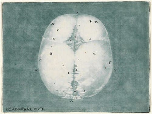 Prenten van het brein en het hart