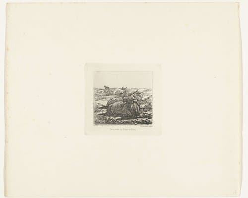 Vijf liggende koeien