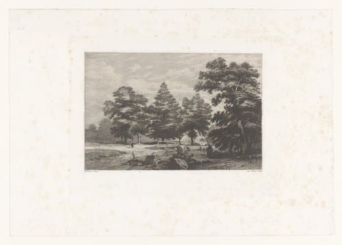 Portrait of Auguste Numans