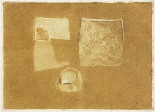 Anatomische studie van menselijke huid en nagel