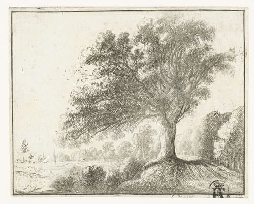 Landschap met grote boom