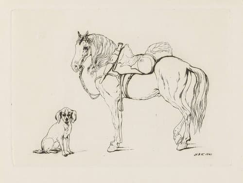 Gezadeld paard en een hond