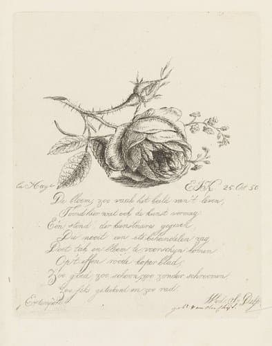 Portrait of Koning, Elizabeth Johanna