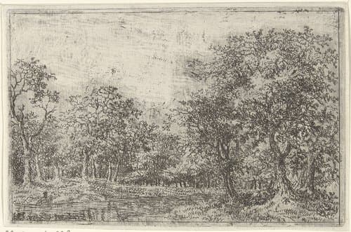 Portrait of Johan de Lagoor