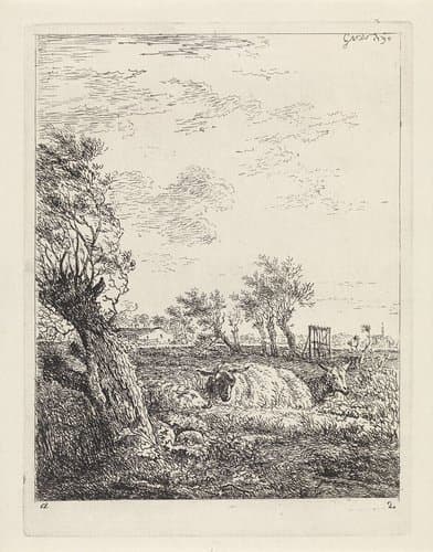 Schapen en een geit in een weiland