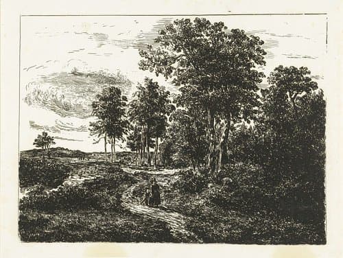 Boslandschap met vrouw en jongen op weg