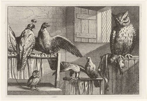 Titelblad Diversae Avium Species