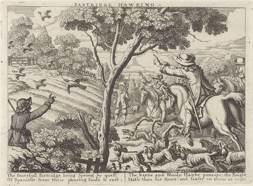 Severall Wayes of Hunting, Hawking, and Fishing, According to the English Manner