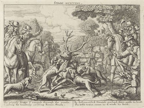 Severall Wayes of Hunting, Hawking, and Fishing, According to the English Manner