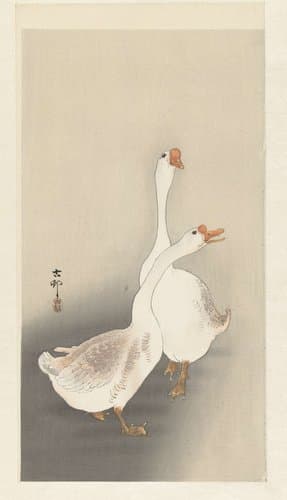 Portrait of Koson, Ohara
