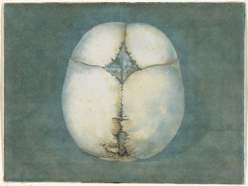 Prenten van het brein en het hart