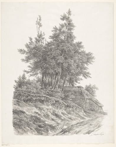 Groep bomen bij boerderij