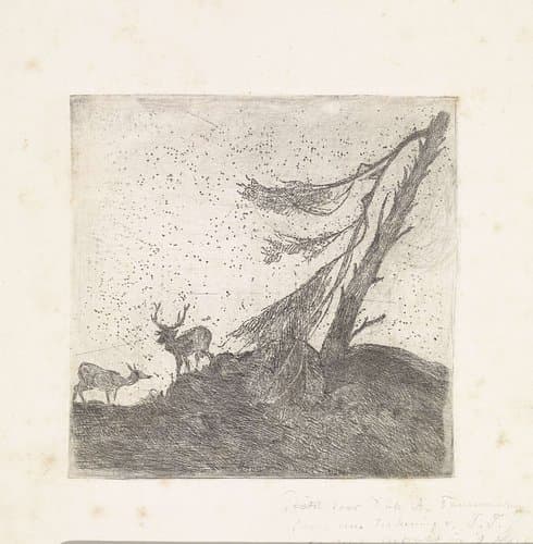 Twee herten bij een dennenboom