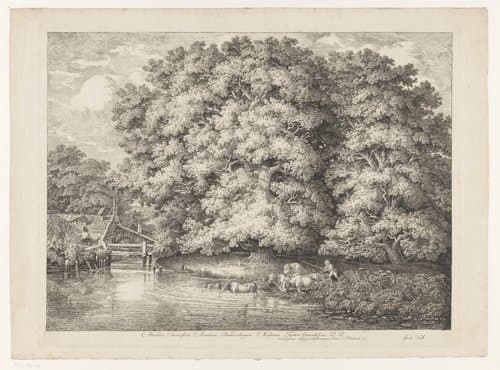 Watermolen bij een grote eik