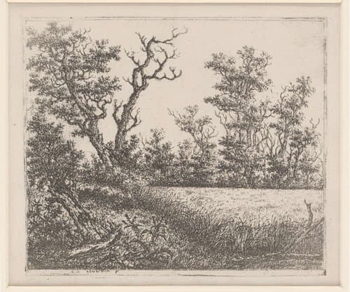 Landschap met korenveld