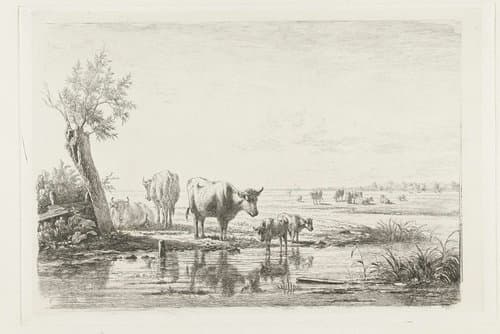 Weidelandschap met koeien bij water