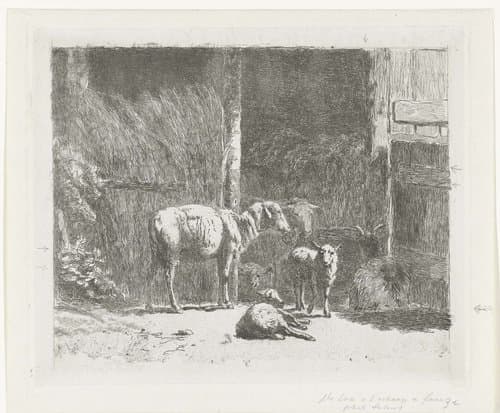 Schapen en lammeren en liggende bok bij stal