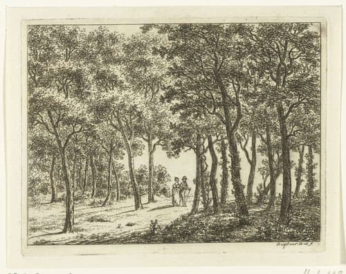 Wandelend stel in het bos