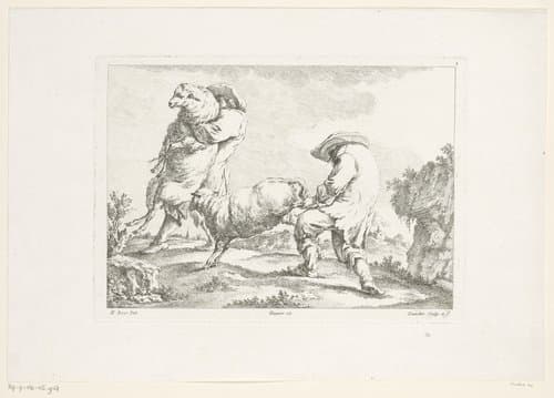 Twee mannen vangen twee schapen