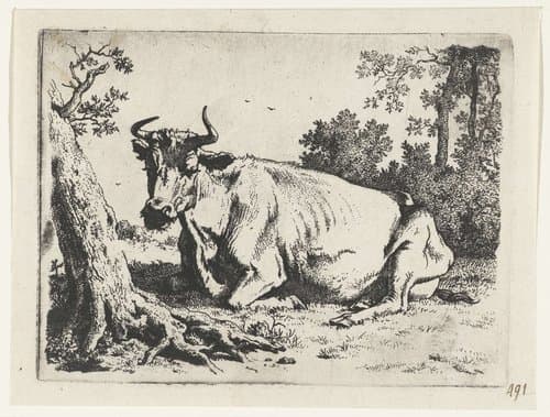 Liggende koe bij een boom