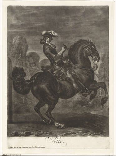 Zwart steigerend paard