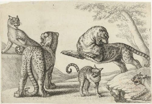 Animals after various artists