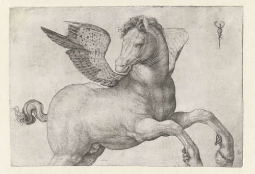 Pegasus