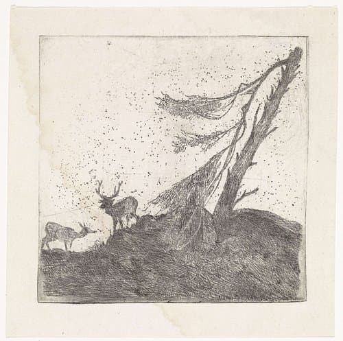 Twee herten bij een dennenboom