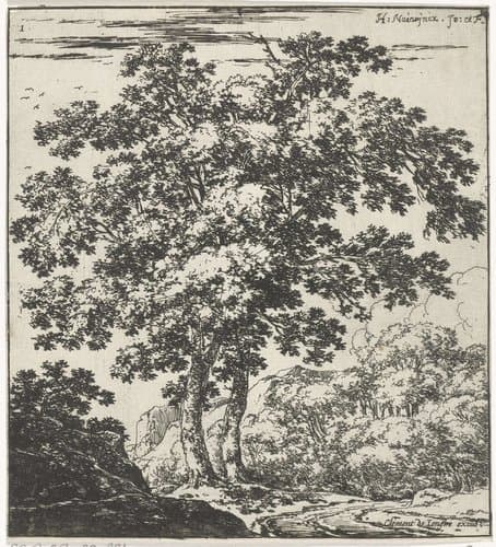 Twee grote bomen in een landschap