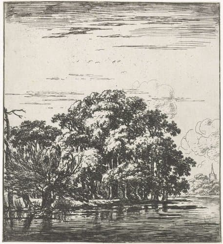 Rivier met been beboste oever