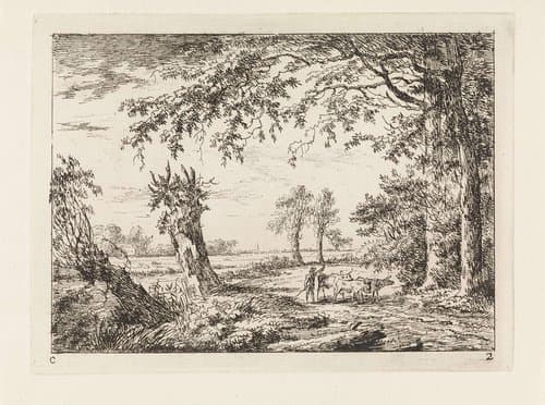 Boer met koeien op een weg