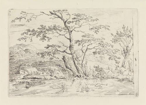 Landschap met koeien bij het water