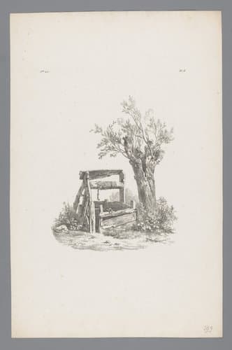 Waterput en knotwilg