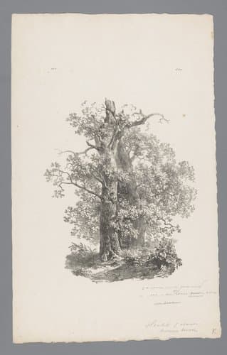 Landschap studiën eerste levering