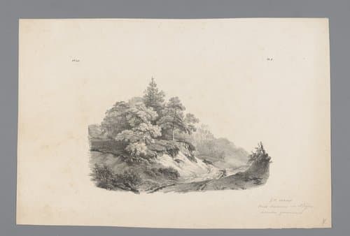 Zandpad door het bos