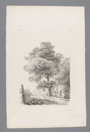 Landschap studiën eerste levering