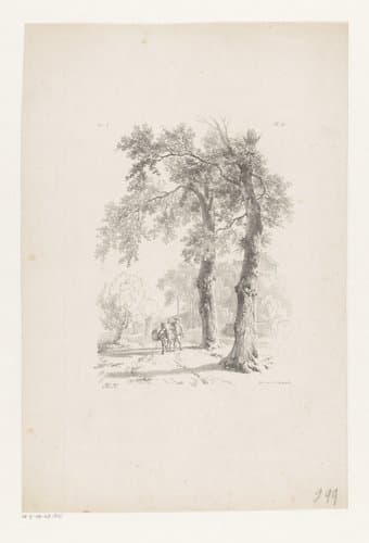 Man en ezel op landweg