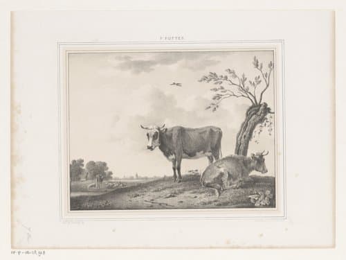 Landschap met stieren