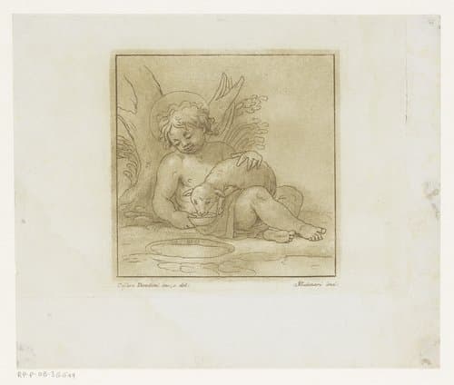 Johannes de Doper in de wildernis