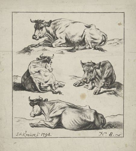 Studies van koeien en schapen