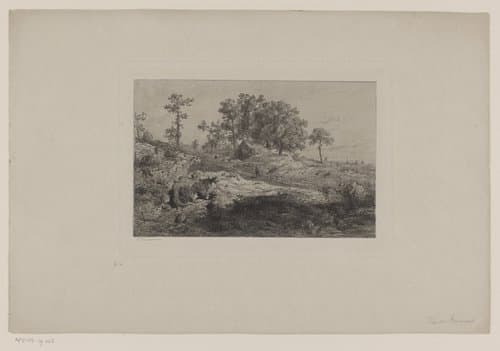 Landschap in de omgeving van de Ardennen